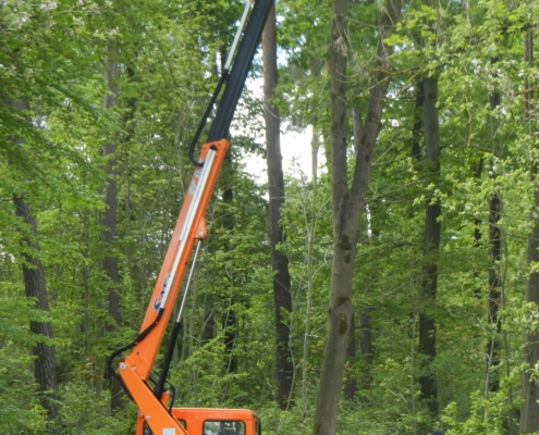 Bonetti with Aerial Work Platform in operation Bonetti with Aerial Work Platform in operation