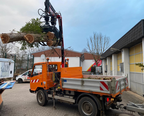 Bonetti mit Kranaufbau: Einfaches und sicheres Aufsammeln von massiven Holzstämmen